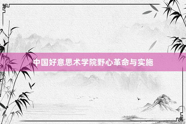 中国好意思术学院野心革命与实施